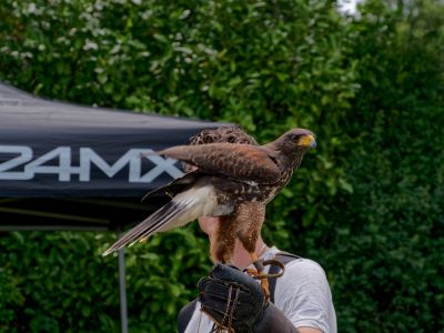 BirdOfBakker jul20 189