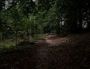 Montferland sept19 44