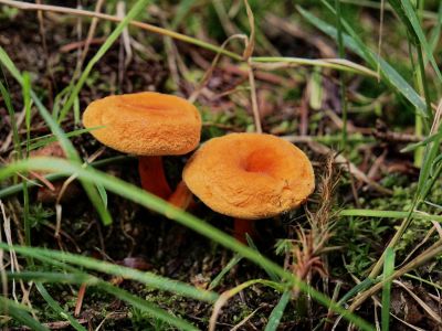 Montferland sept19 58