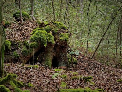 Montferland sept19 61