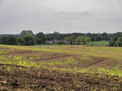 Montferland sept19 69