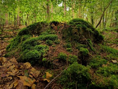 Montferland sept19 75