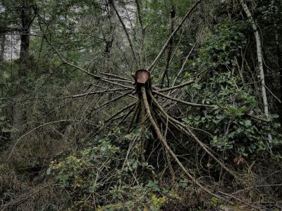 Montferland sept19 79