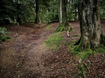 Montferland sept19 81