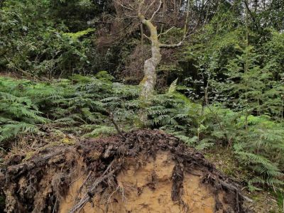 Montferland sept19 85