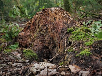 Montferland sept19 90