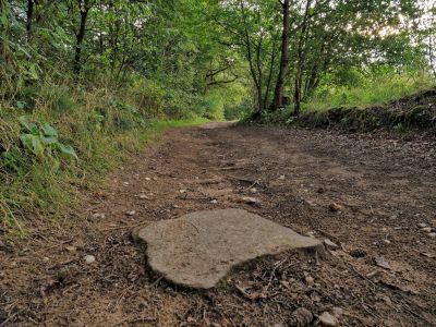 Montferland sept19 93