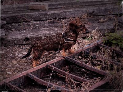 Urbex jul19 15