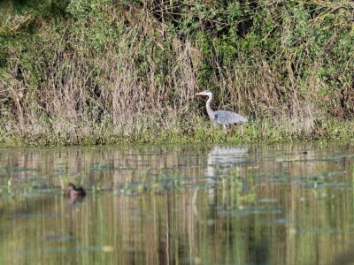 Birdparadise apr19 61