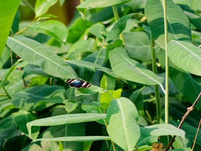 BurgersZoo mrt19 106