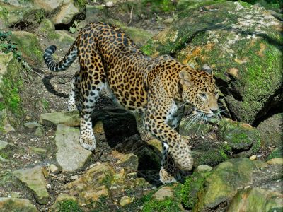 BurgersZoo mrt19 114