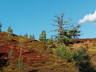 Posbank sept18 07