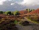 Posbank sept18 16