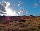 Posbank sept18 20