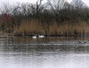 VerdronkenLeuvenG6 mrt18 13