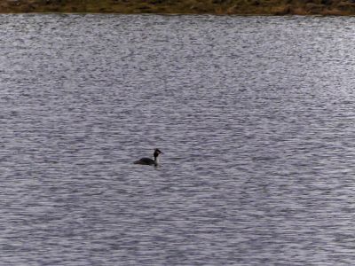 VerdronkenLeuvenG6 mrt18 17