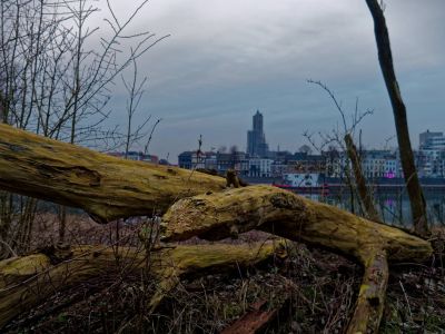 UrbanWildWinter feb18 30