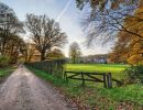 Byvanck nov20 03