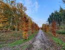 Byvanck nov20 05