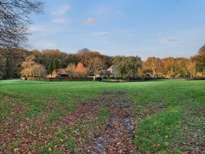 Byvanck nov20 11
