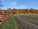 Byvanck nov20 12