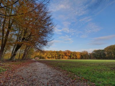 Byvanck nov20 14
