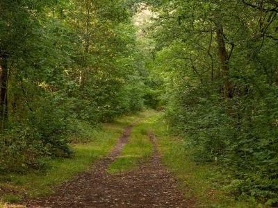 2500707 waltkreuz dxo