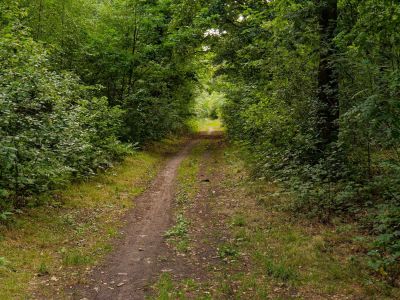 2500707 waltkreuz dxo