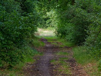 2500707 waltkreuz dxo