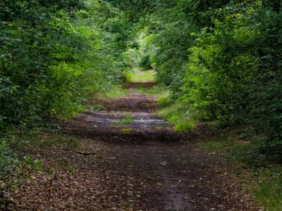 2500707 waltkreuz dxo