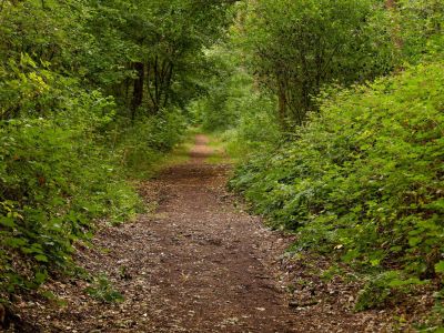 2500707 waltkreuz dxo