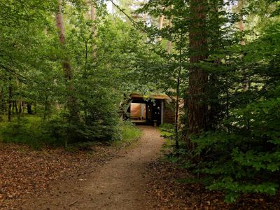 250623 loenermark dxo