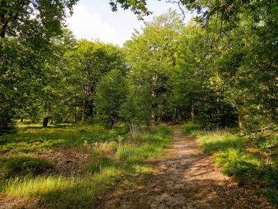 250623 loenermark dxo