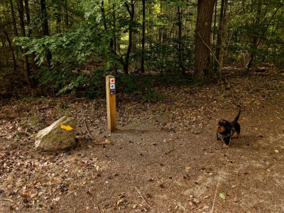 250623 loenermark dxo