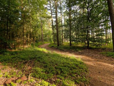 250623 loenermark dxo