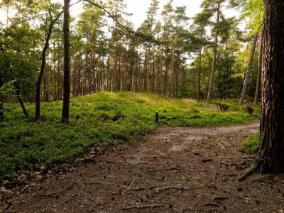 250623 loenermark dxo