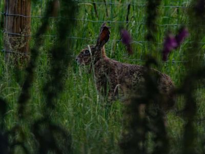 250623 loenermark dxo