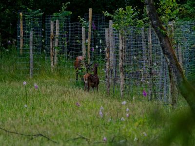 250623 loenermark dxo