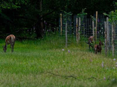 250623 loenermark dxo