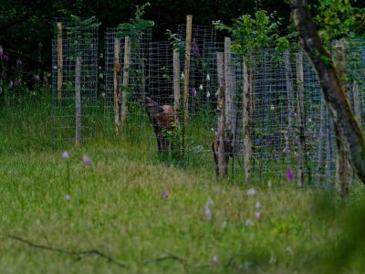 250623 loenermark dxo