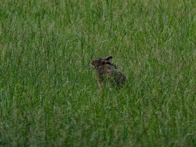 250623 loenermark dxo