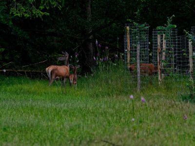 250623 loenermark dxo