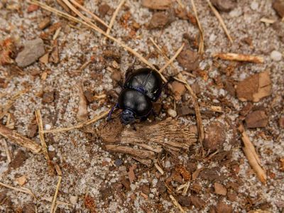 250817 verborgendorp dxo