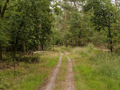 250817 verborgendorp dxo