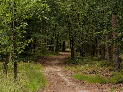 250817 verborgendorp dxo