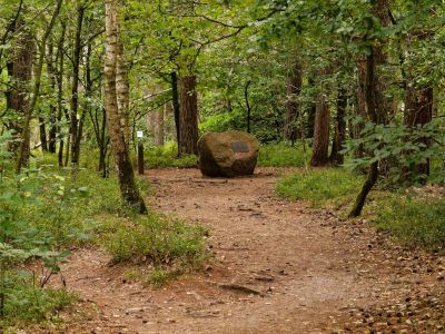 250817 verborgendorp dxo