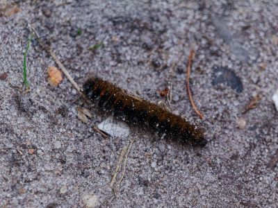 250817 verborgendorp dxo