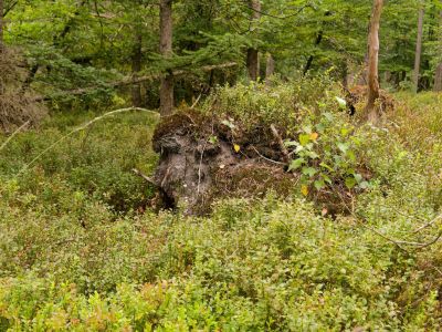 250817 verborgendorp dxo