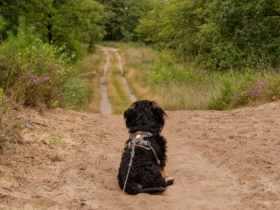 250817 verborgendorp dxo