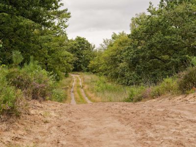 250817 verborgendorp dxo